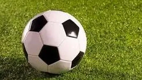 万博体育Manbetx平台 产品 213958 ijc