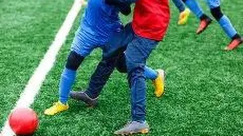 万博体育Manbetx平台 产品 083528 pvs