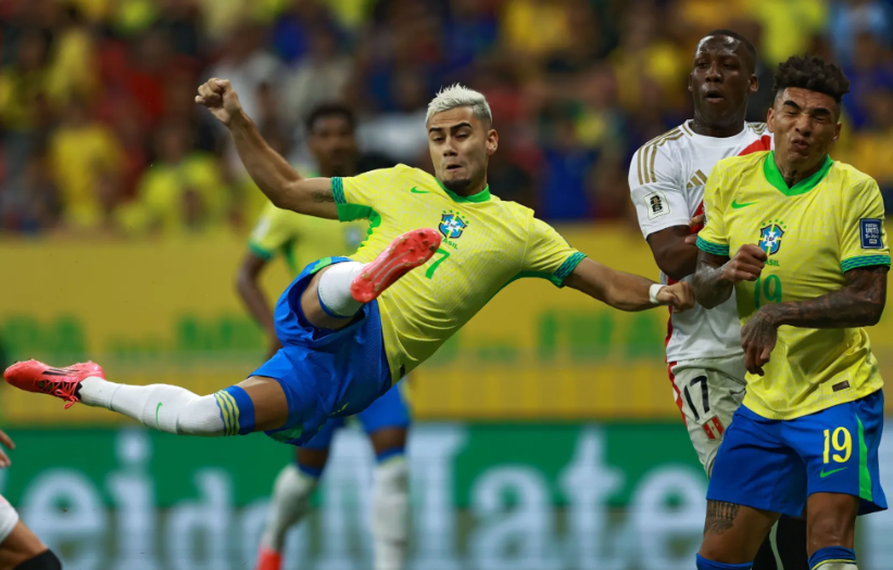 拥有灵活多 拥有灵活多